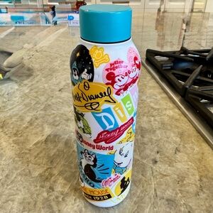 Disneyland Water Bottle